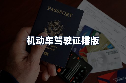 机动车驾驶证排版